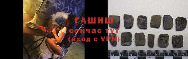 шишки Надым