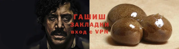 шишки Надым