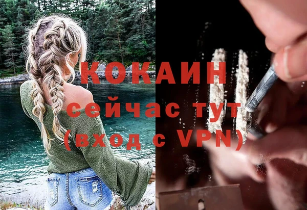гашик Наволоки